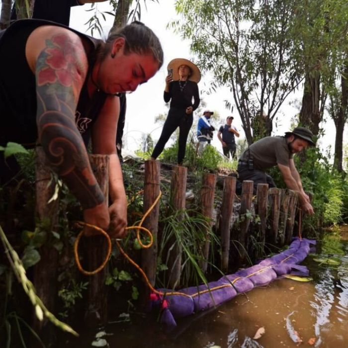Usan cabello humano para limpiar los canales de Xochimilco