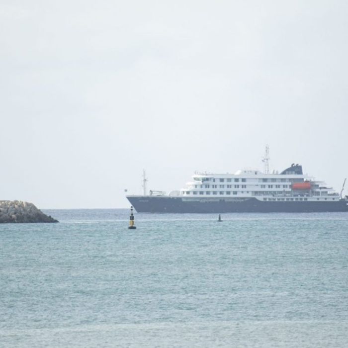 Brote de hantavirus en el crucero MV Hondius deja al menos 3 muertos y 7 casos confirmados o sospechosos