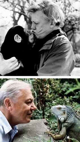 David Attenborough cumple 100 años: una vida dedicada a la naturaleza