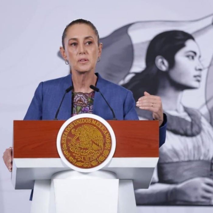 Gobierno reporta disminución preliminar del 49% en homicidios dolosos entre septiembre de 2024 y mayo de 2026