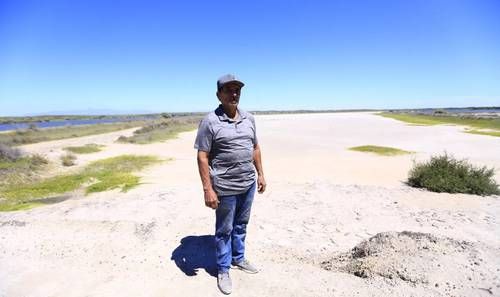 granja-de-camaron-en-eldorado-sinaloa-detiene-produccion-tras-desplome-de-precios-y-enfermedades