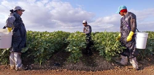 Los 38 millones de residentes de origen mexicano en EU generaron 2.27 billones de dólares en 2024