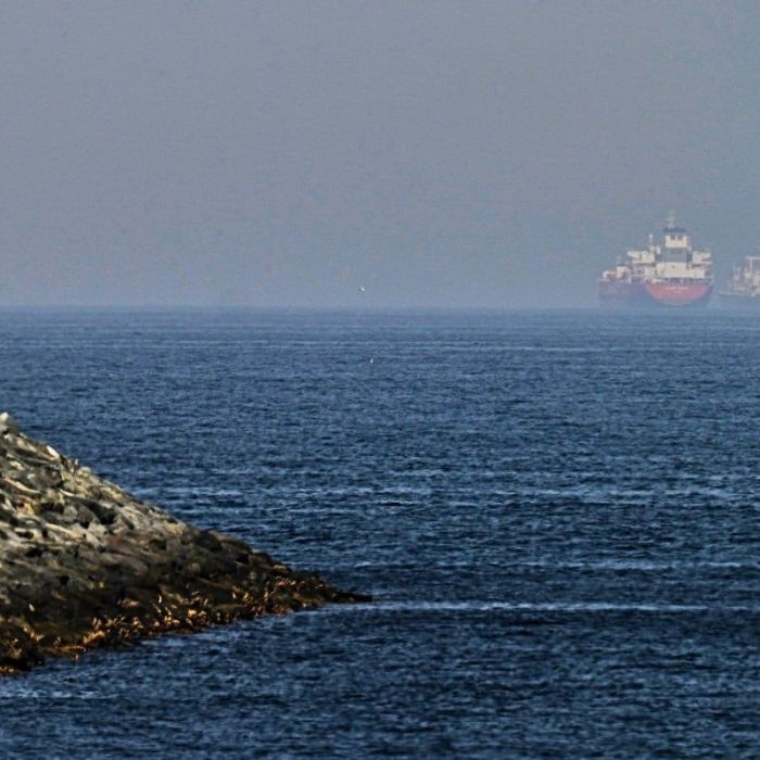CENTCOM deshabilita al petrolero M/T Lexie con un misil Hellfire en el Golfo Pérsico