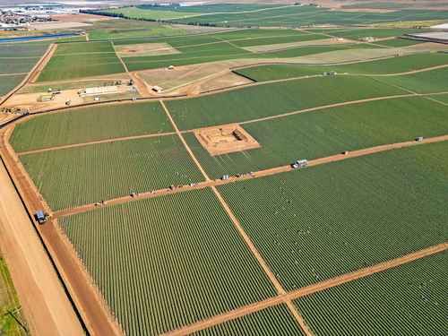 superavit-agroalimentario-cae-16-2-en-enero-mayo-de-2026