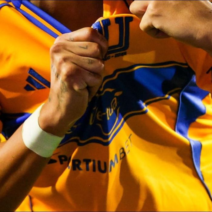 Jorge Torres Nilo afirma que quiere dirigir a Tigres y devolverlo a los primeros planos