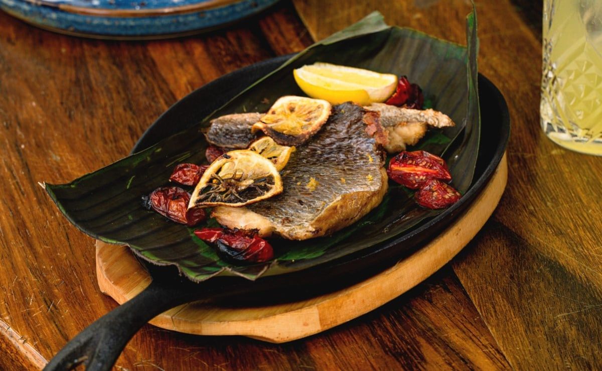 altanera-cocina-mexicana-en-las-alturas-de-la-roma-norte