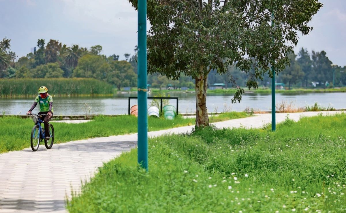 bosque-de-aragon-celebrara-dia-de-muertos-con-festival-del-bosque-al-mictlan
