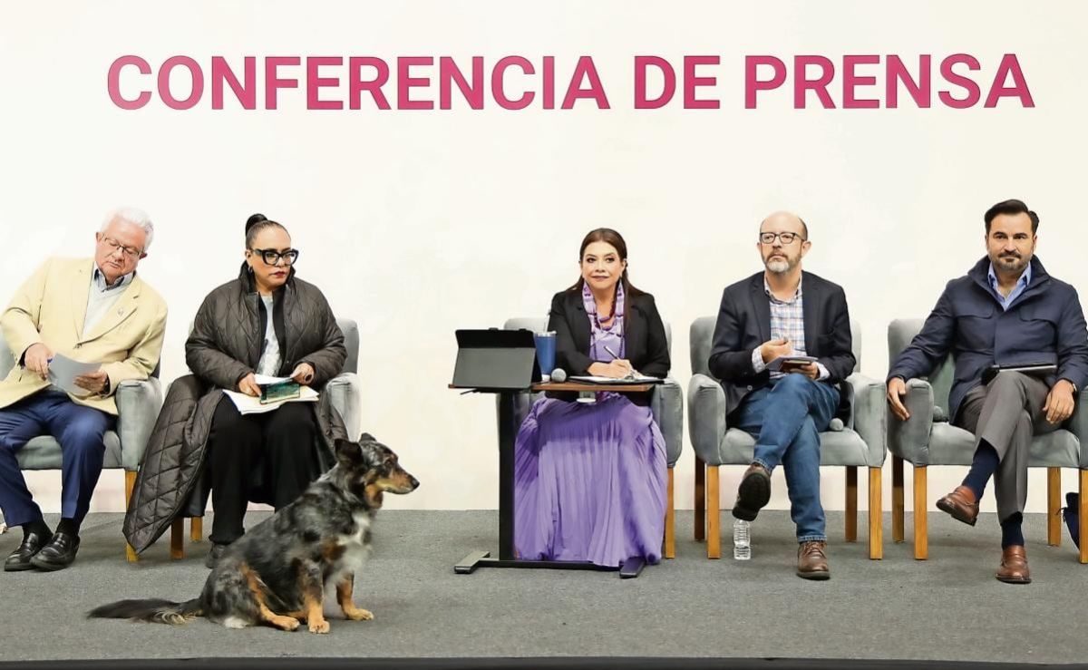 brugada-acusa-a-la-oposicion-de-respaldar-la-gentrificacion-y-pide-parlamento-abierto-sobre-ley-de-rentas
