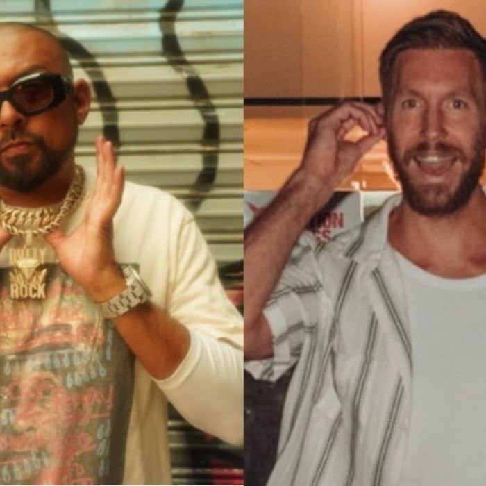 Cancelan los shows de Calvin Harris, Deorro y Sean Paul en CDMX