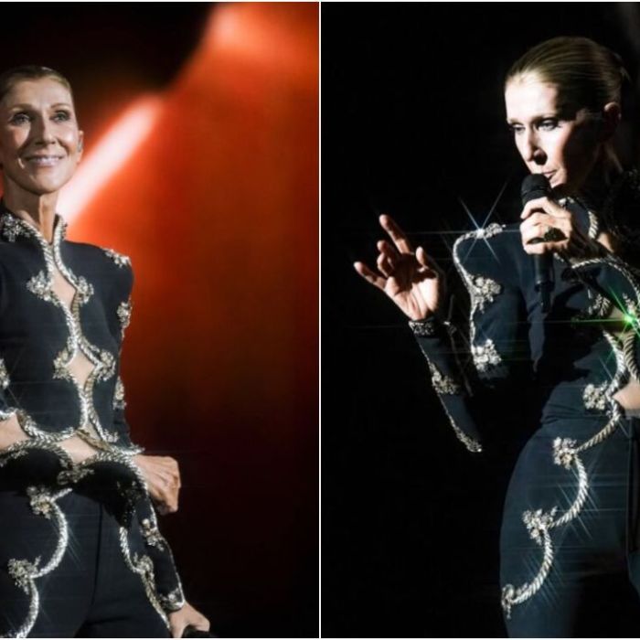 Céline Dion cae durante concierto en París y tranquiliza al público con un pulgar arriba