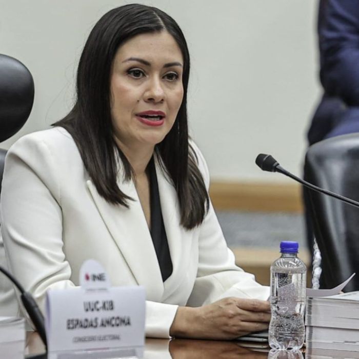 Consejeros perfilan a Blanca Cruz como presidenta interina del INE