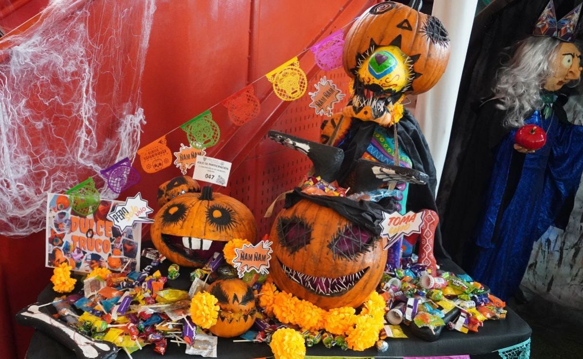 creatividad-y-union-familiar-destacan-en-el-concurso-de-calabazas-del-colegio-amauta