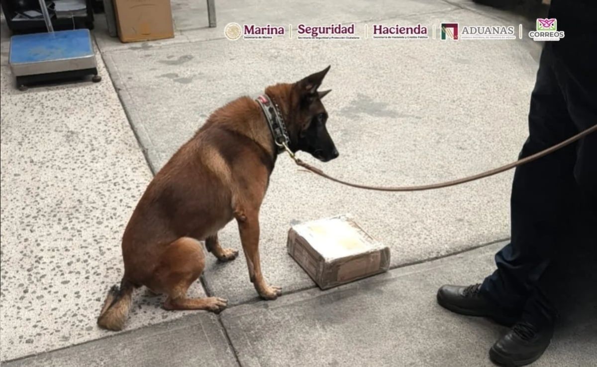 detectan-367-gramos-de-metanfetamina-ocultos-en-cargadores-de-videojuegos-en-el-aicm