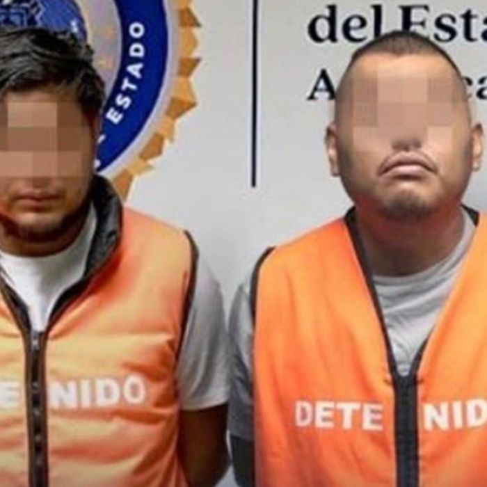 Detienen en CDMX y Guerrero a dos presuntos integrantes de banda dedicada al robo de casas de lujo