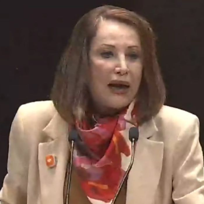 Diputadas cuestionan a Laura Itzel por violencia contra las mujeres durante comparecencia