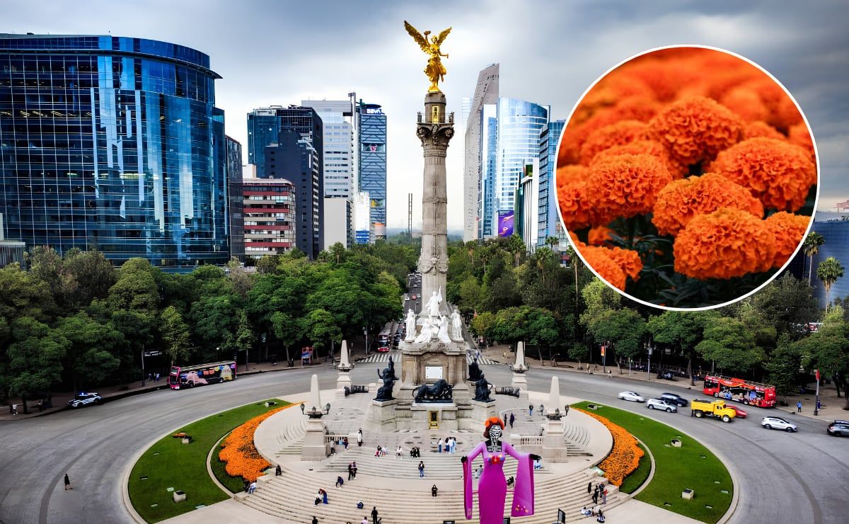 festival-de-flores-de-cempasuchil-en-reforma-fechas-precios-y-como-llegar