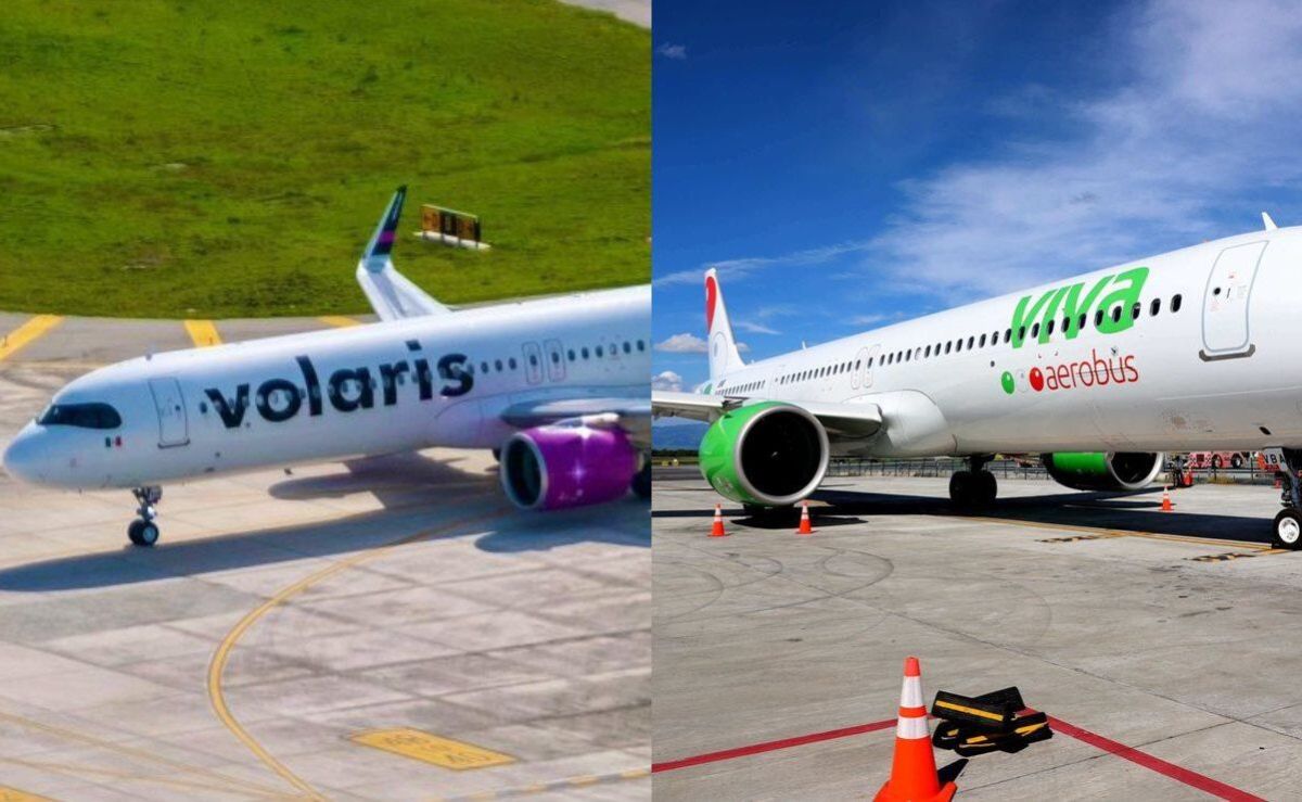 fusion-de-volaris-y-viva-podria-darles-mayor-poder-para-fijar-tarifas