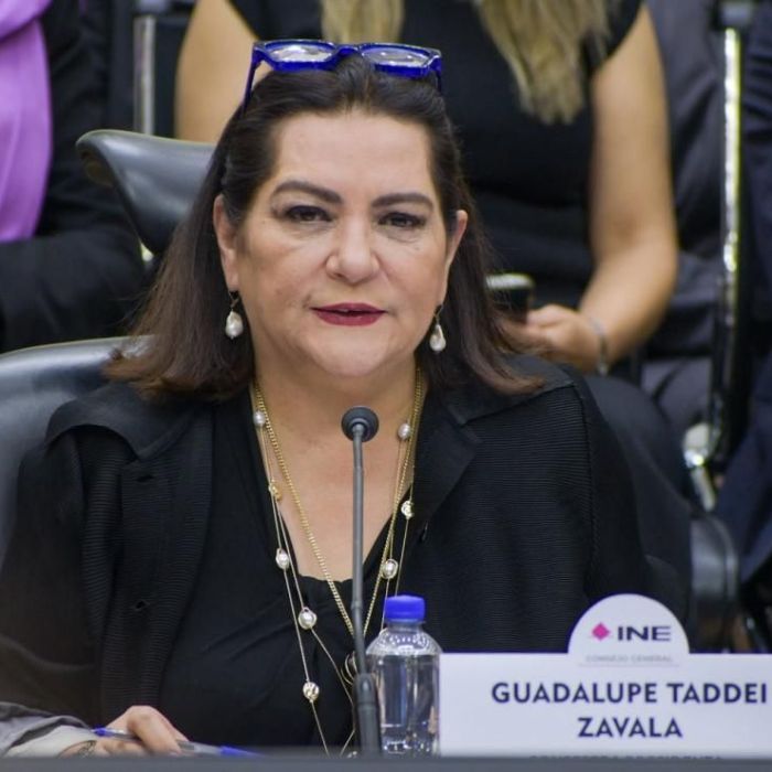 Guadalupe Taddei reportó 3.2 millones de pesos y ningún inmueble ni vehículo