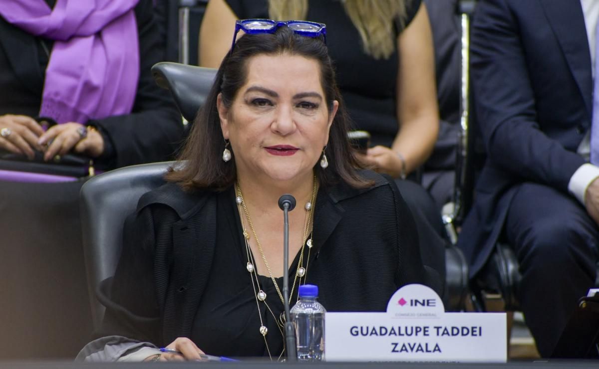 guadalupe-taddei-reporto-3-2-millones-de-pesos-y-ningun-inmueble-ni-vehiculo