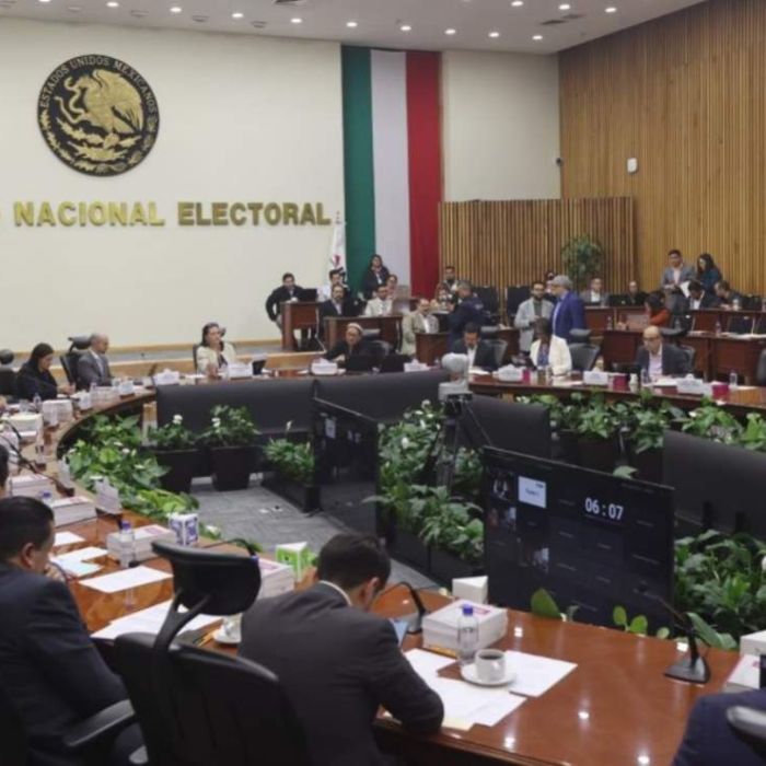 INE designa a Blanca Cruz como presidenta interina tras la renuncia de Guadalupe Taddei