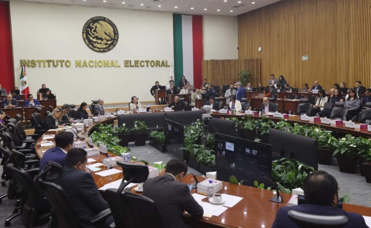 ine-designa-a-blanca-cruz-como-presidenta-interina-tras-la-renuncia-de-guadalupe-taddei