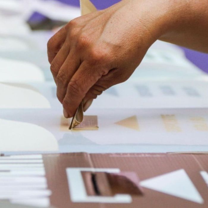 INE permitirá voto desde casa a personas con discapacidad y cuidadores en las elecciones de 2027