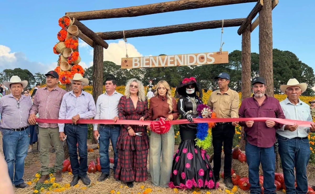 inauguran-en-surutato-el-primer-campo-de-cempasuchil-de-sinaloa