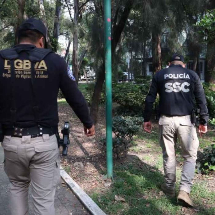 Investigan presunto envenenamiento de perros en el Parque España