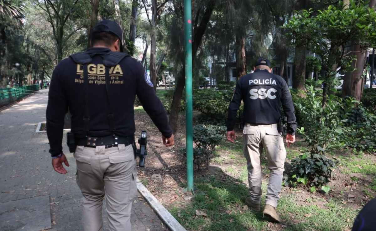 investigan-presunto-envenenamiento-de-perros-en-el-parque-espana