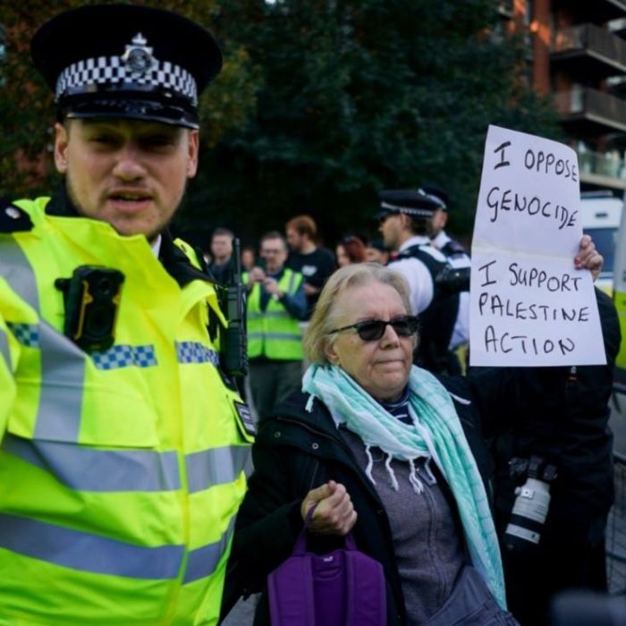 La cifra de detenidos en protesta por Palestine Action en Londres sube a 139