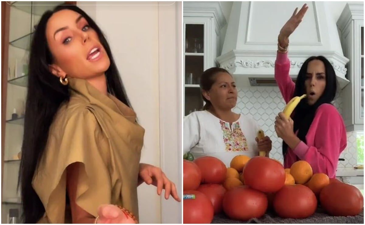 la-cuenta-de-tiktok-de-ines-gomez-mont-bailes-bromas-y-una-ultima-publicacion-en-2021