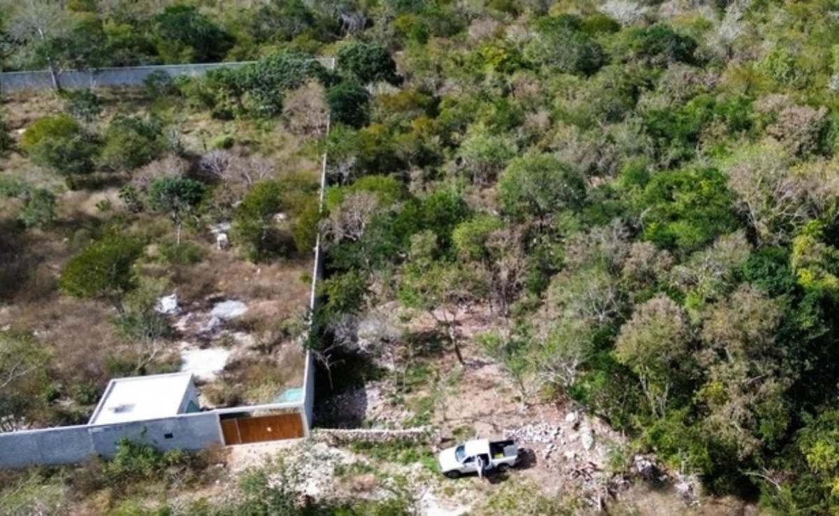 ley-de-armonizacion-catastral-que-establece-y-como-funcionara-en-mexico