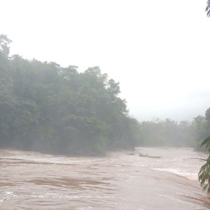 Lluvias provocan deslaves, caída de árboles y encharcamientos en Chiapas