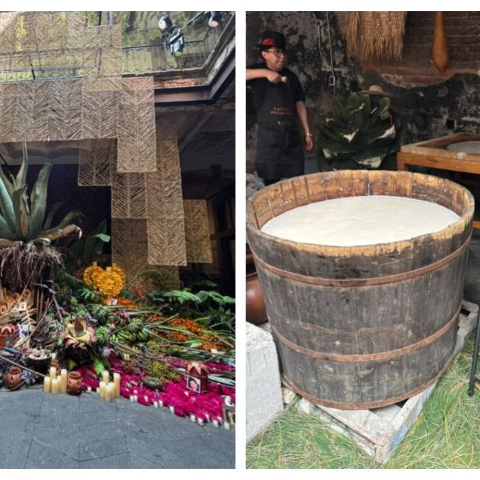 Maguey y pulque dan forma a la ofrenda “Volver a la Tierra” en General Prim