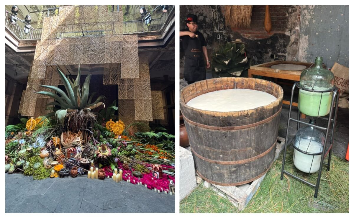 maguey-y-pulque-dan-forma-a-la-ofrenda-volver-a-la-tierra-en-general-prim