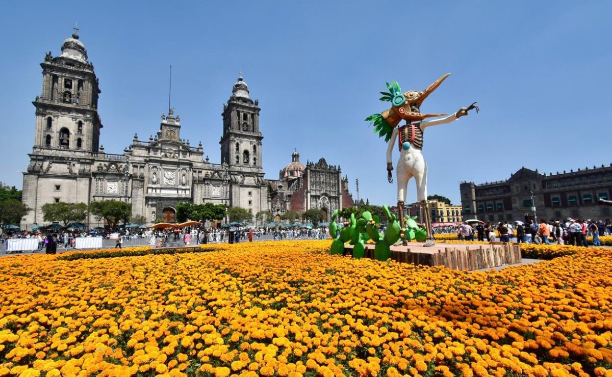 megaofrenda-y-alumbrado-del-zocalo-2026-fechas-para-visitar-la-catrina-monumental