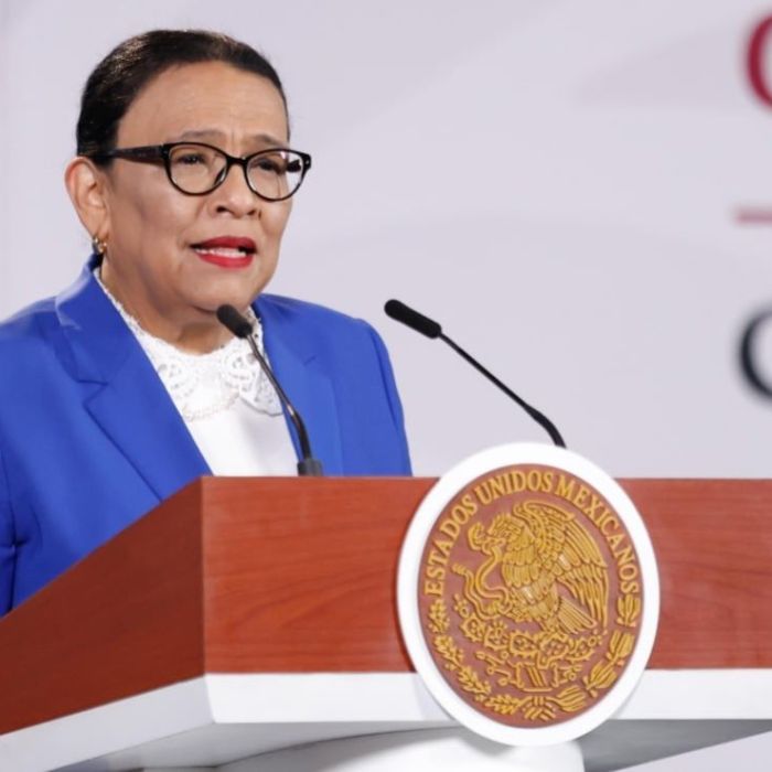 México rechaza ante la ONU la interpretación sobre desapariciones forzadas, informa Rosa Icela