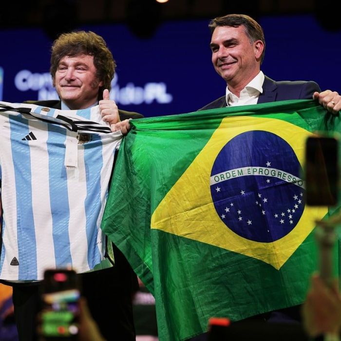 Milei ante Brasil: el costo de confundir afinidades con intereses