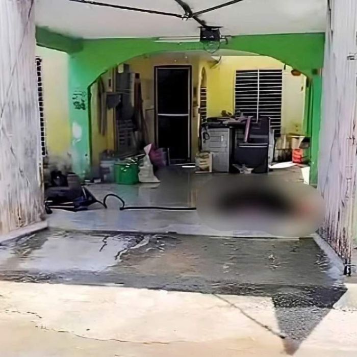 Mujer muere tras ataque de abejas en fraccionamiento de Mérida