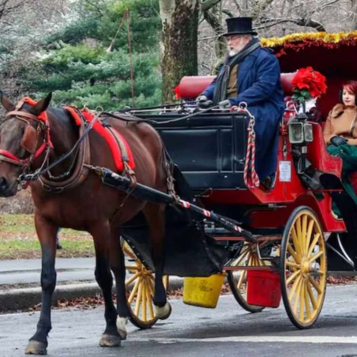 Nueva York acuerda eliminar los carruajes de caballos de Central Park para 2028