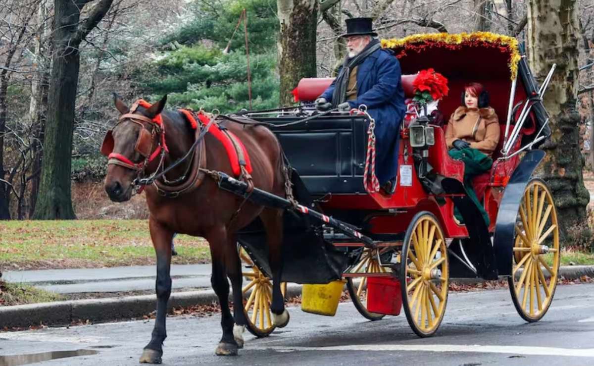 nueva-york-acuerda-eliminar-los-carruajes-de-caballos-de-central-park-para-2028