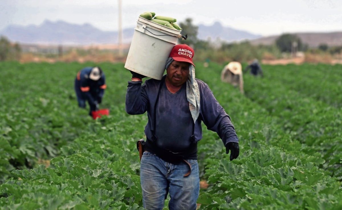 onu-alerta-que-el-shock-energetico-puede-agravar-la-crisis-alimentaria-mundial