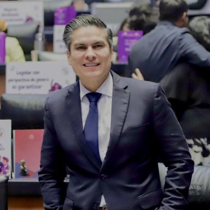 Pável Jarero defiende reforma que otorgó facultades unipersonales a Guadalupe Taddei en el INE