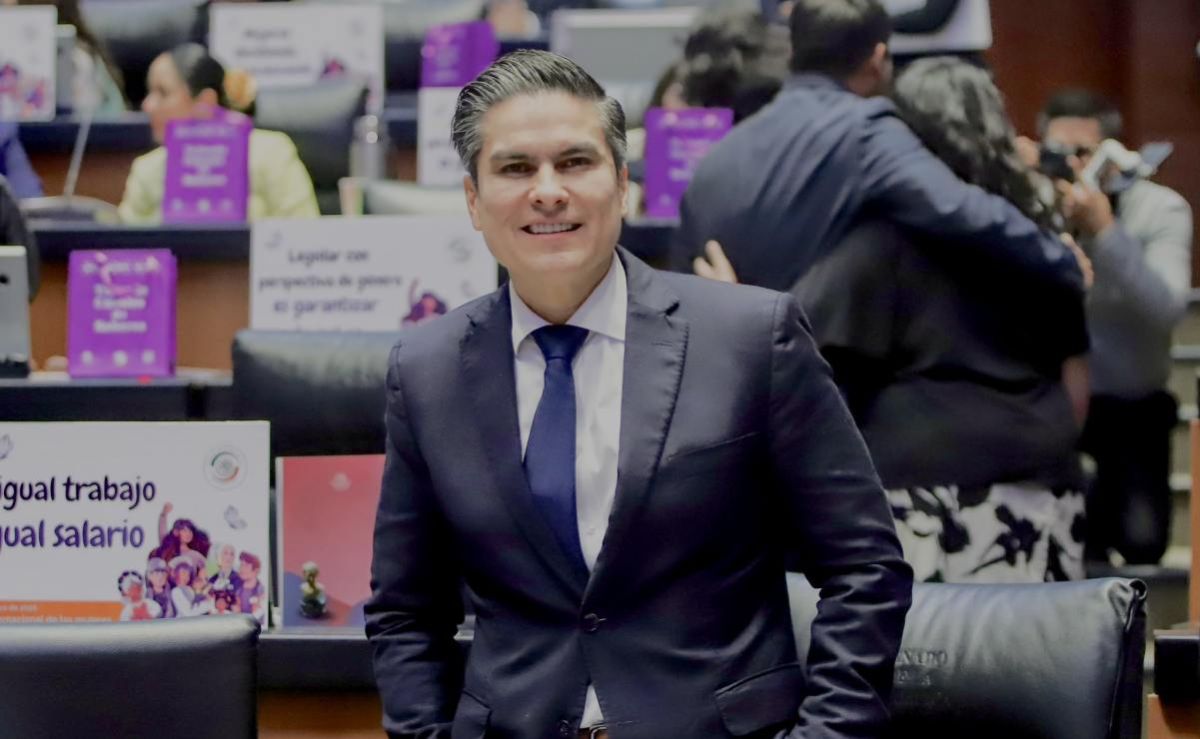 pavel-jarero-defiende-reforma-que-otorgo-facultades-unipersonales-a-guadalupe-taddei-en-el-ine