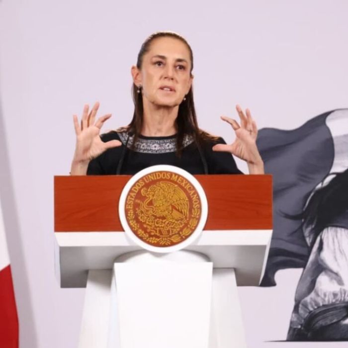 Recuperan 48 mil mdp en IEPS por contrabando de combustible durante 2025