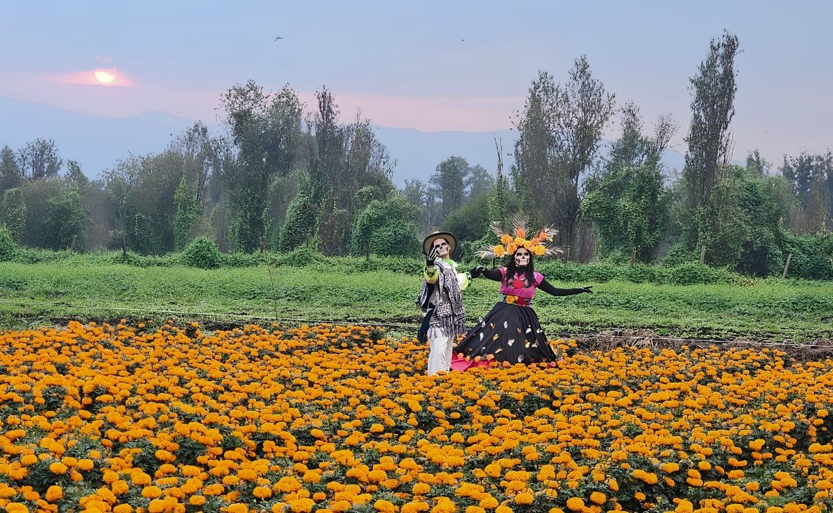 ruta-del-cempasuchil-en-xochimilco-fechas-horarios-y-precio-del-recorrido