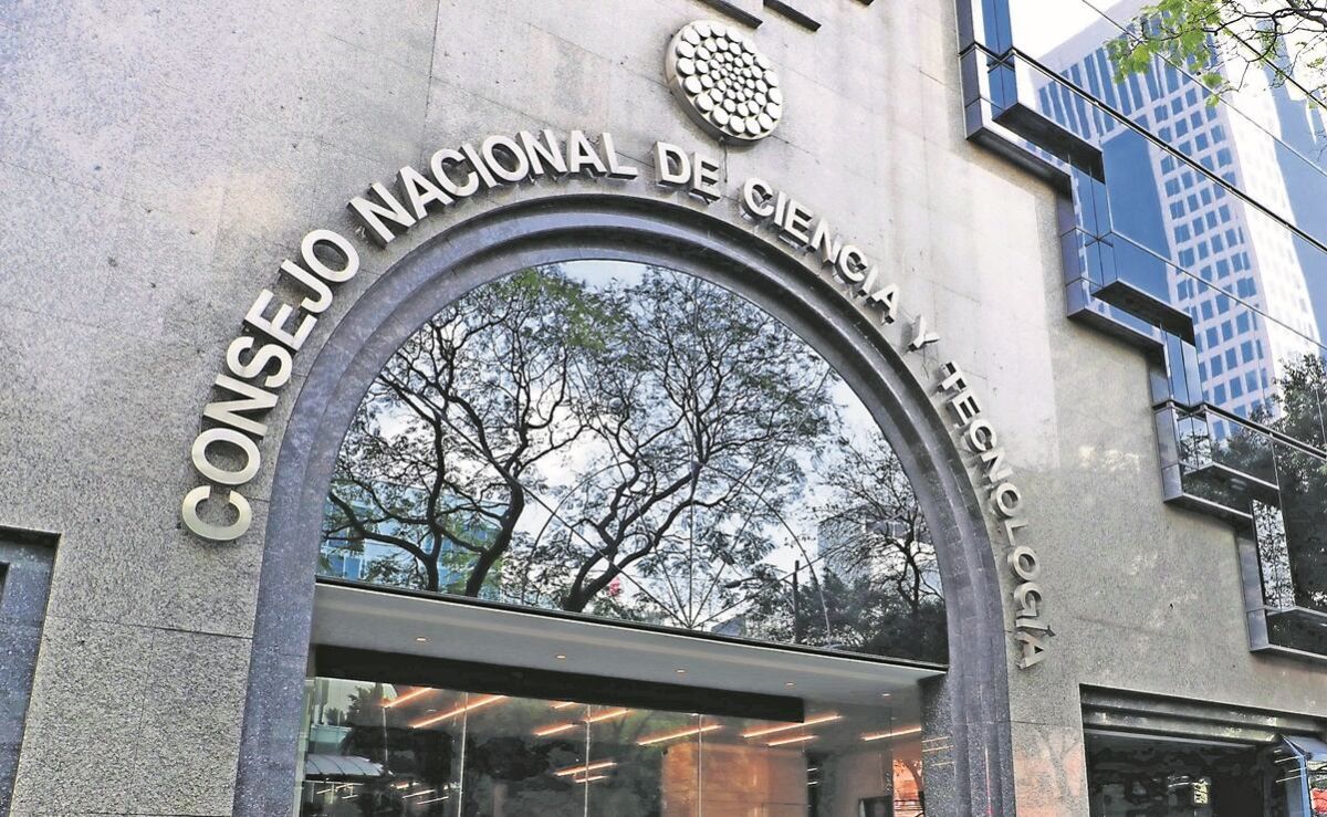 scjn-valida-ley-de-ciencia-que-mantiene-apoyos-diferenciados-para-investigadores-privados