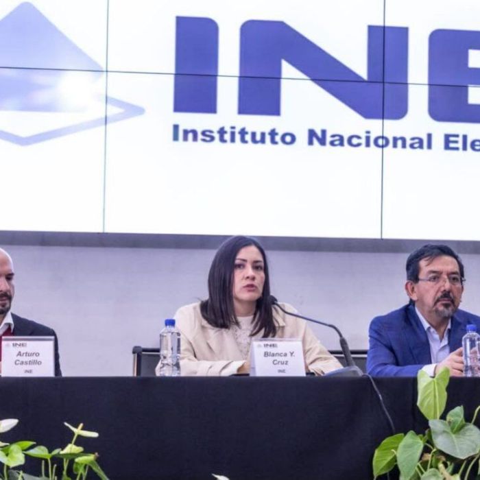 San Lázaro recibe notificación sobre Blanca Cruz como presidenta interina del INE