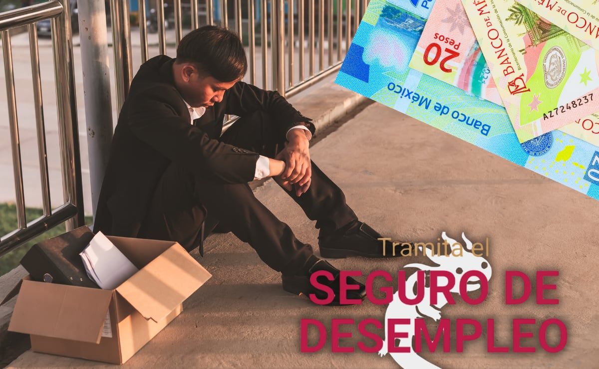 seguro-de-desempleo-cdmx-requisitos-y-como-tramitar-el-apoyo-economico