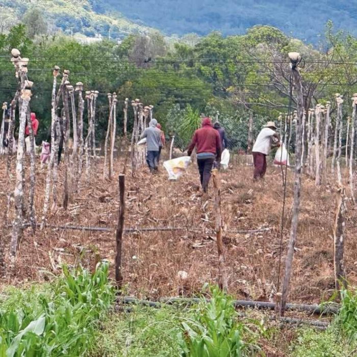 Senado analiza Ley de Topografía para prevenir conflictos por límites de tierras